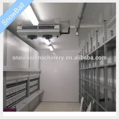 Air Blast Freezer Building Cold Storage Room