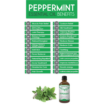 Minyak Peppermint Grosir Untuk Rambut Dan Perawatan Kulit