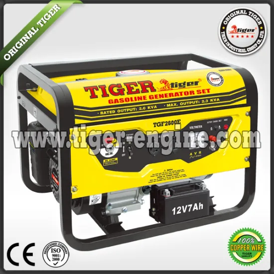 Gasoline generatot sets TGF2600E