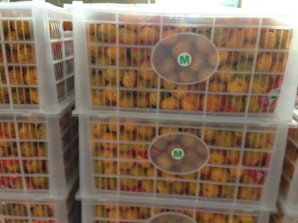 Exporting China Orange (S M L) Model No:Mandarin orange