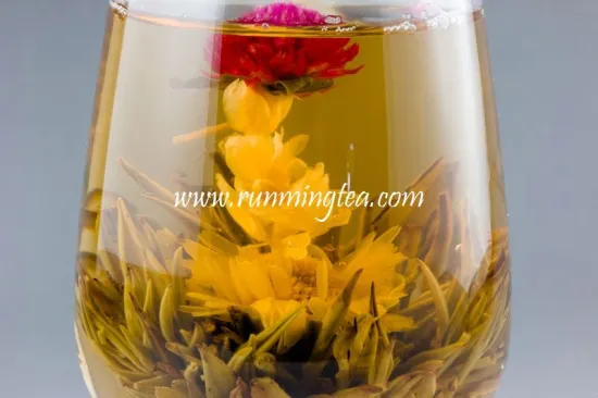 Hong Hai Zhi Xing (Red Sea Star) Black Blooming Tea