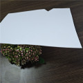 100% biodegradable PLA sheet