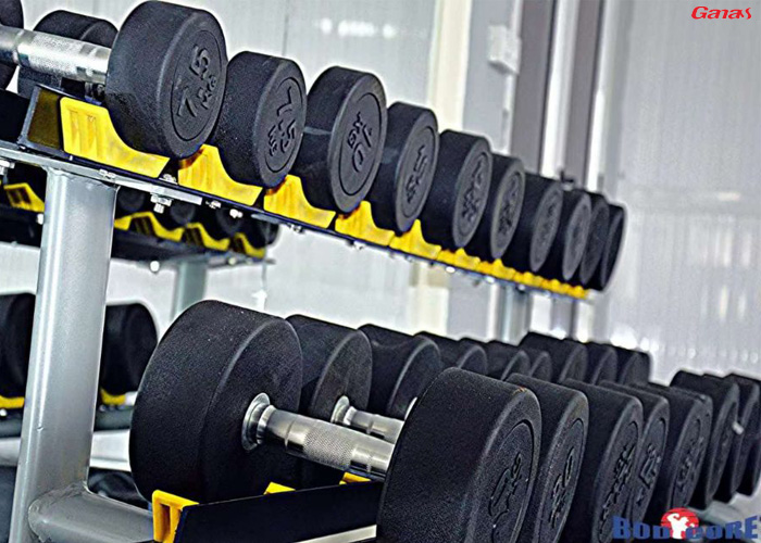Bodycore gym equipment hotsell