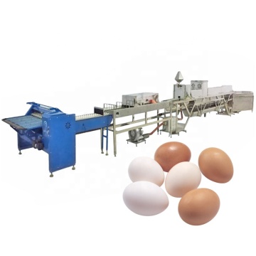 Full Automatic Egg Cleaning Production Line 5000-10000Pcs/H