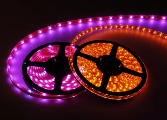 5050 RGBW/RGBWW/RGBCW LED Strip DC12V DC24V Available