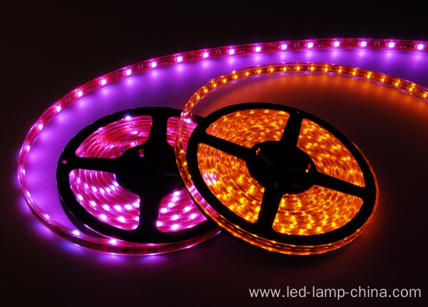 5050 RGBW/RGBWW/RGBCW LED Strip DC12V DC24V Available