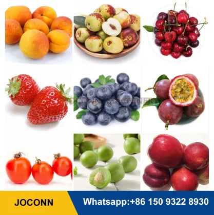 Multi-Fruit and Vegetable Sorting and Grading Machine