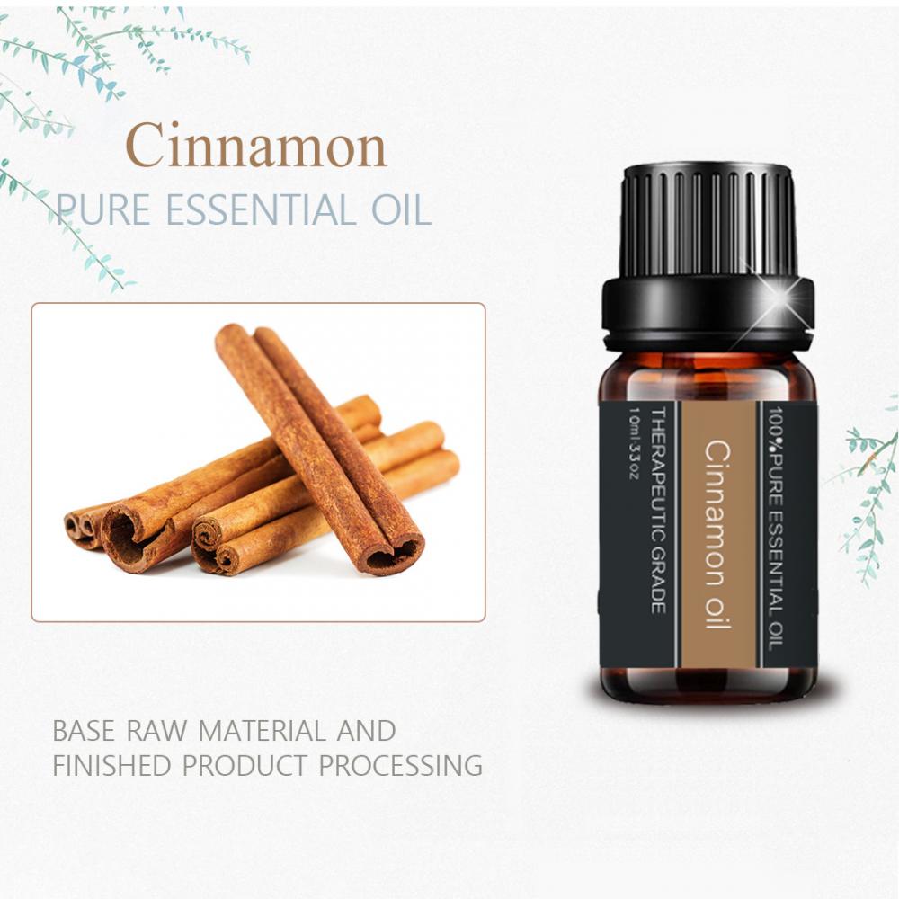 100% Pure Natural High Quality Cinnamon Essential Oil