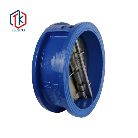 Taike Cast iron Cast Steel Stainless Steel Wafer Type Butterfly Spring Check Valve