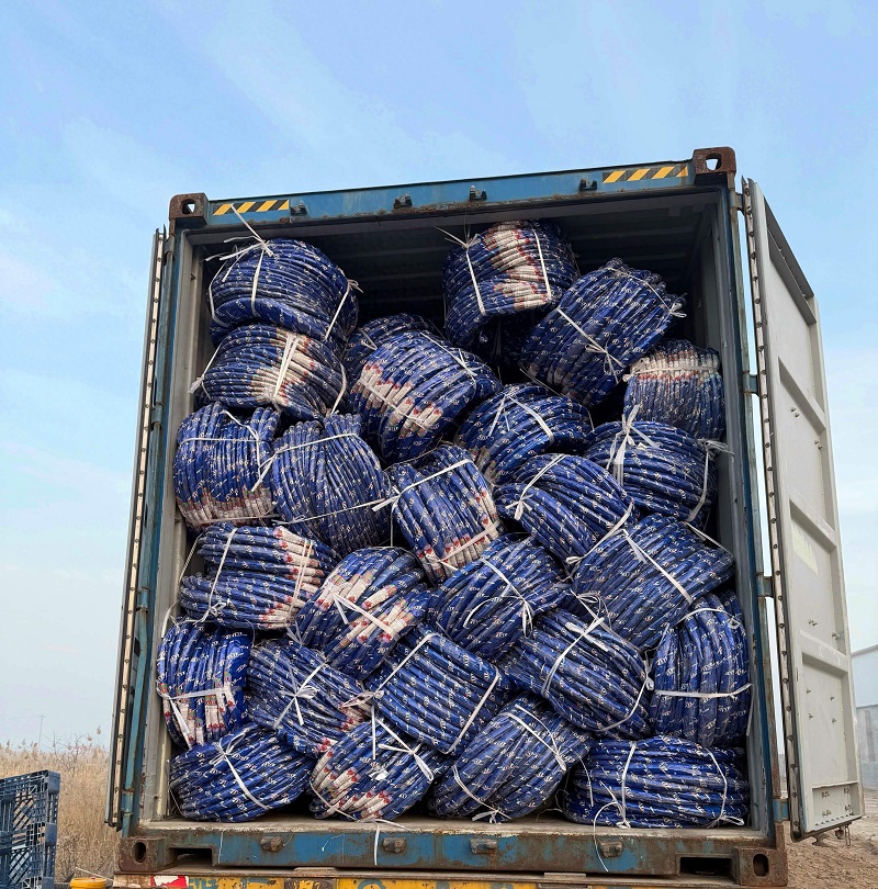 Ruisilaifu Secures 4 Container Orders from Togo on New Year's Day, Ushering in an Era of Global Customization for Sino-African Industries!