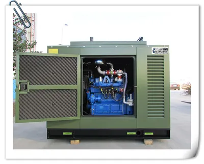 Natural Gas Electric Generator