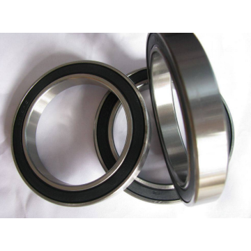 Single Row Deep Groove Ball Bearing (61876)