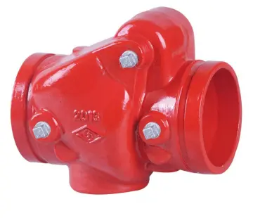 BS Grooved Resilient Swing Check Valve