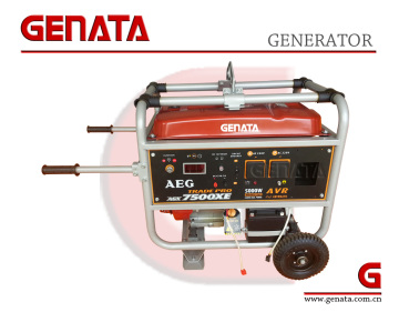 Portable 6500W Gasoline Generators