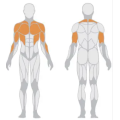 Attrezzatura da palestra Super Orizzontal Chest Press Machine