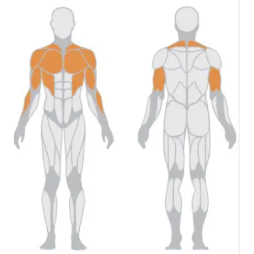 Gym Equipment Super Horizontal Chest Press Machine