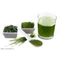 Spirulina-eiwitpoeder 60% sportgezondheidsmateriaal