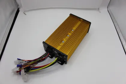 India Cargo & Last-Mile Delivery E-Trike Controller