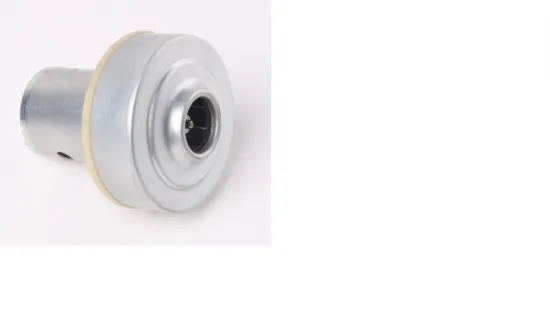 DC vacuum cleaner motor