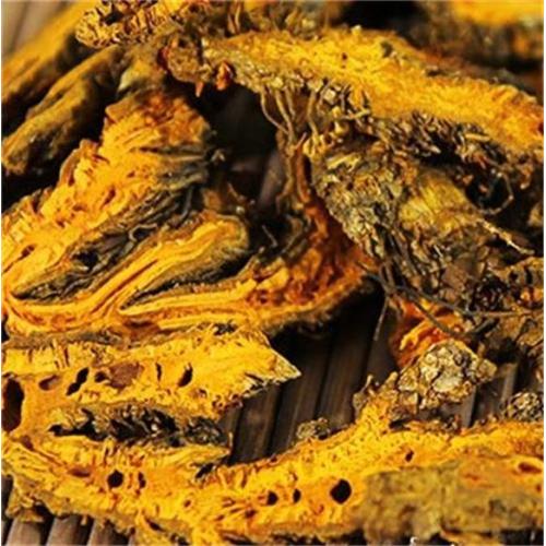 coptis chinensis root extract