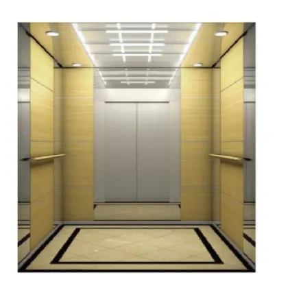 Hot Selling Hairline Stainless Steel Indoor Household Elevator for Villa