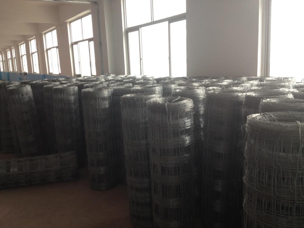 animal protection wire mesh