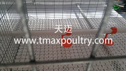SHINE Poultry Drinker System