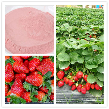 Pure Strawberry Powder For Food and Beverage