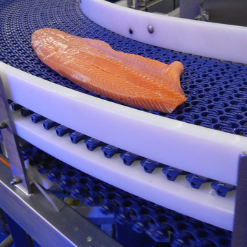High Quality Customized Plastic Modular Belt Conveyor Line for Fish Delivery