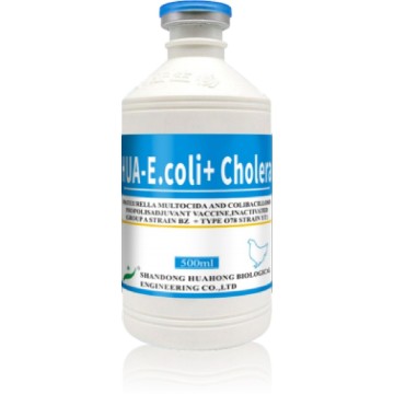 Vaccin inactivé contre la pasteurelle et la colibacillose