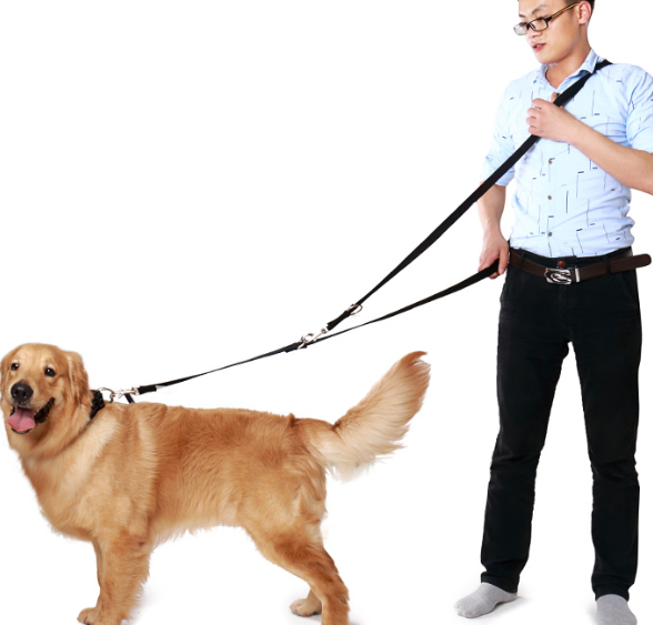 Nylon Hands Free Waist Dog Training Lead