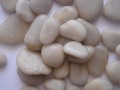 Pebble Stone decorativo bianco neve rotondo