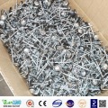 Bright Metal Luster Galvanized Paraply Head Roofing Nails