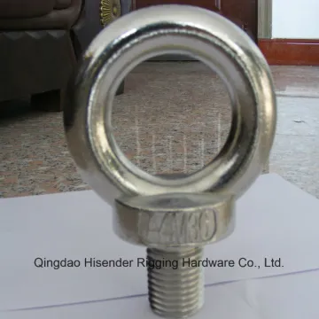 Ss316 Eye Bolt and Nut DIN580, DIN582, JIS 1168 JIS 1169