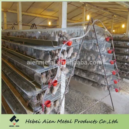Quail farming cage Sale,hot selling quail farming cage