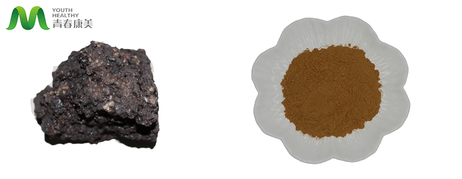 Shilajit Extract Powder