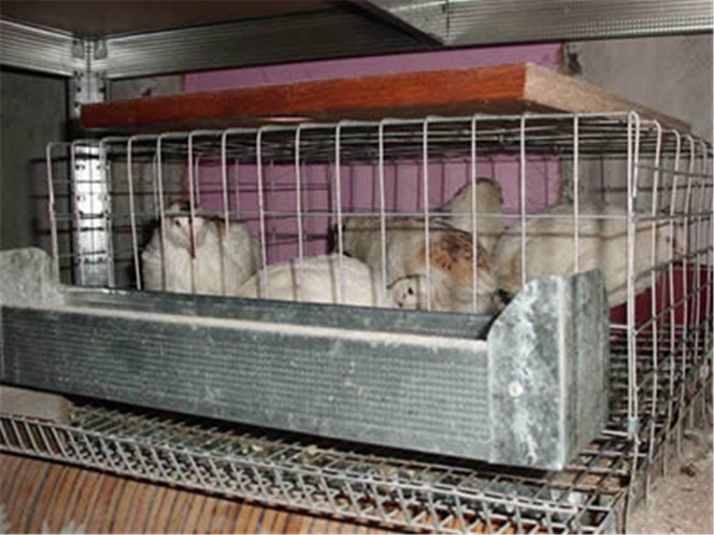 Galvanized Poultry Netting