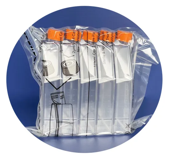 25cm², 75cm², 175cm², and 225cm² T75 Treated T-Flask Cell Culture Flasks: Types of Vented and Sealed Caps
