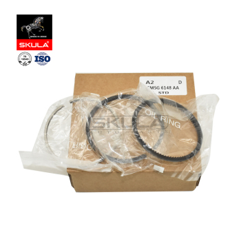Skula Auto Parts Piston Ring Set STD for Ford Fiesta Ecosport 1.0T 2012