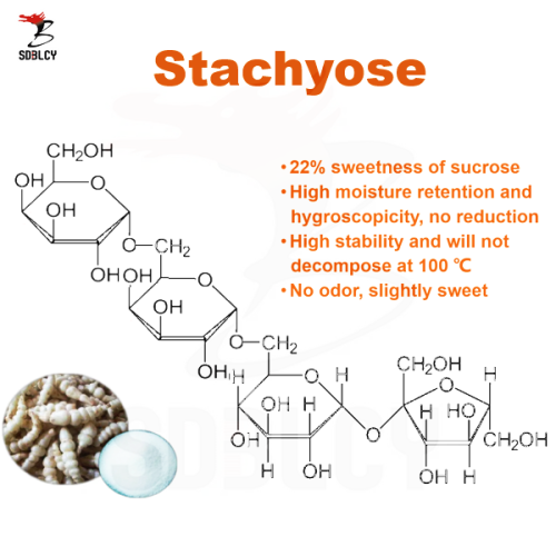 Fontes naturais de alimentos em pó de stachiose