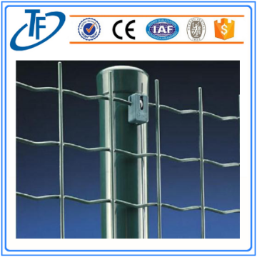 Svetsat Holland Wire Mesh / Wire Mesh Netting