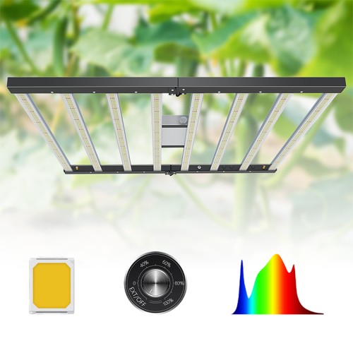 Custom Mammoth Intertek 1000W Led Grow Lights