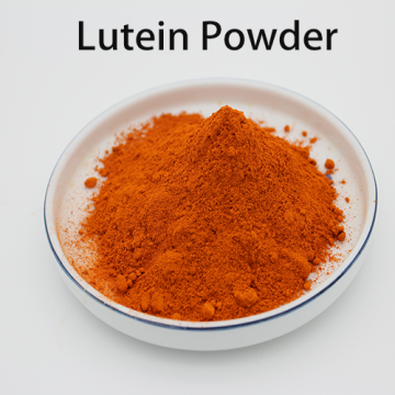 Marigold -Luteinpulver für Augen natürliches Luteinpulver