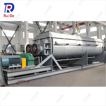 Customizable Hollow Paddle Dryer Solutions for Industries
