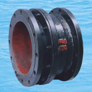 DN80 Extension device