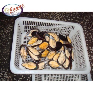 Chinese market homemade wholesale half shell cooked blue mussel