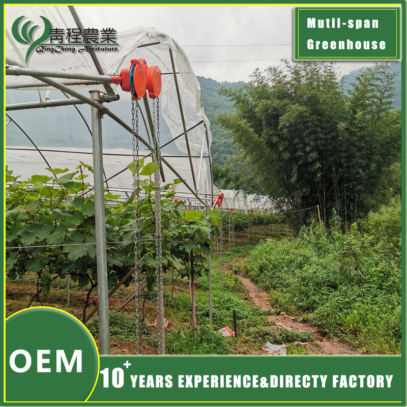 Multi Span Greenhouse Cover