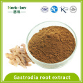 Efeito do sono Gastrodia Raiz Extrato 1% Gastrodina