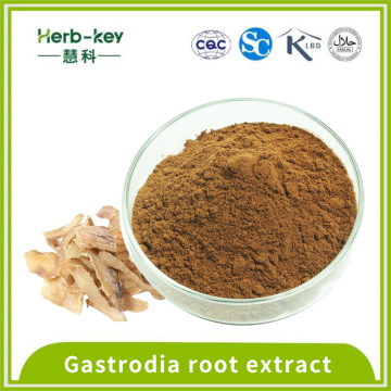 Efeito do sono Gastrodia Raiz Extrato 1% Gastrodina