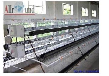 layer cage,equipment for poultry house
